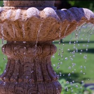 Meet your Posher, Julie